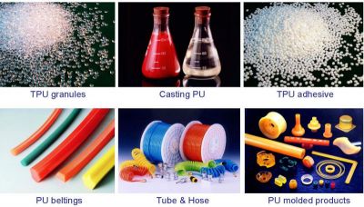 Xưởng sản xuất phim màu Pet