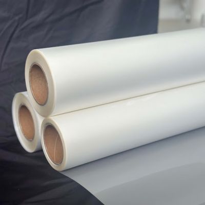 Bán màng polyester